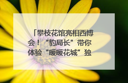 攀枝花馆亮相西博会！“豹局长”带你体验“暖暖花城”独特魅力｜西博视界